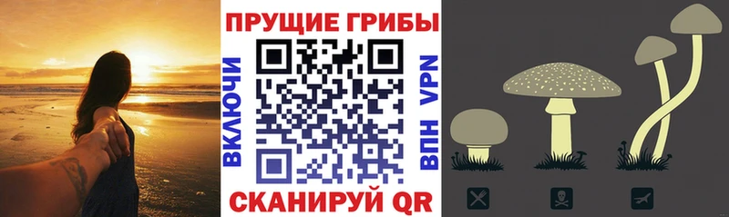 маркетплейс формула  МЕГА как войти  Красноуфимск  Псилоцибиновые грибы Psilocybine cubensis 